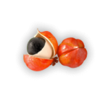 guarana energie