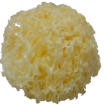 TEMELLE beauté